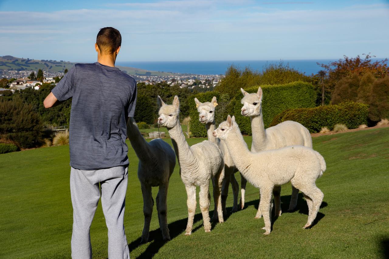 Alpaca Farmstay Dunedin Zewnętrze zdjęcie